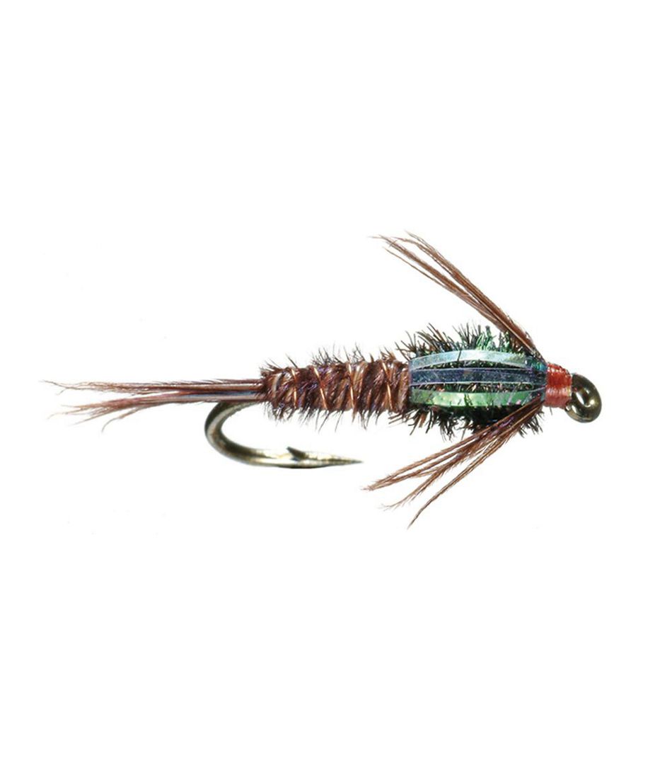 Flashback Pheasant Tail, 2-Pack | L.L.Bean US