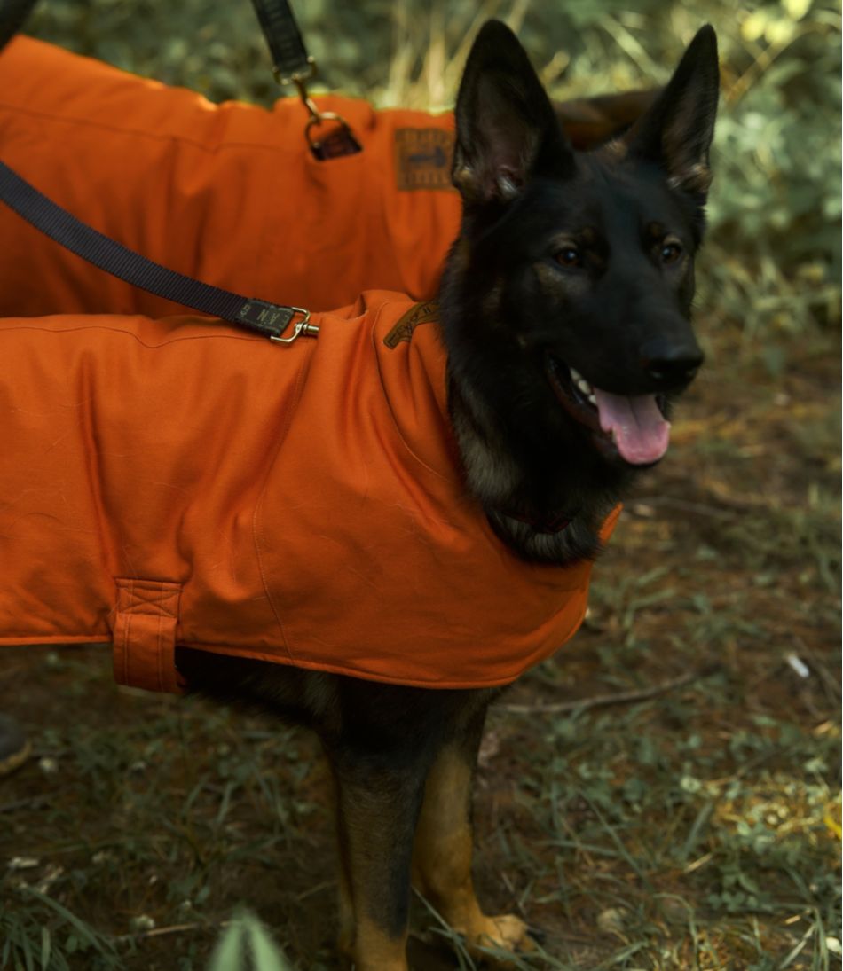 & Noah Kahan Reversible Field Coat for Dogs | L.L.Bean on sale