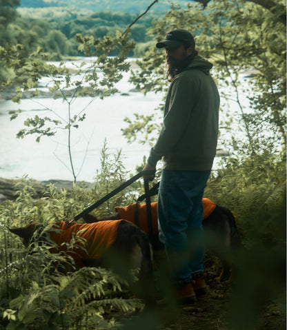 & Noah Kahan Reversible Field Coat for Dogs | L.L.Bean on sale