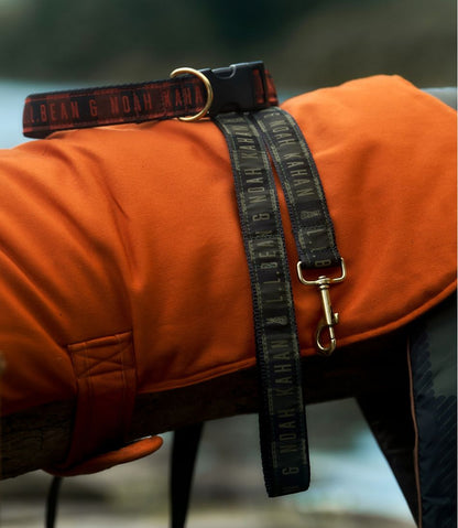 & Noah Kahan Novelty Dog Leash | L.L.Bean US