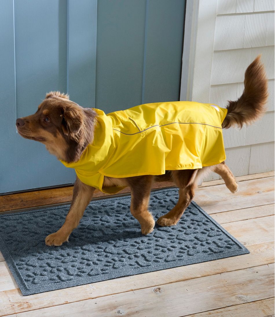 Discovery Dog Rain Jacket | L.L.Bean discount
