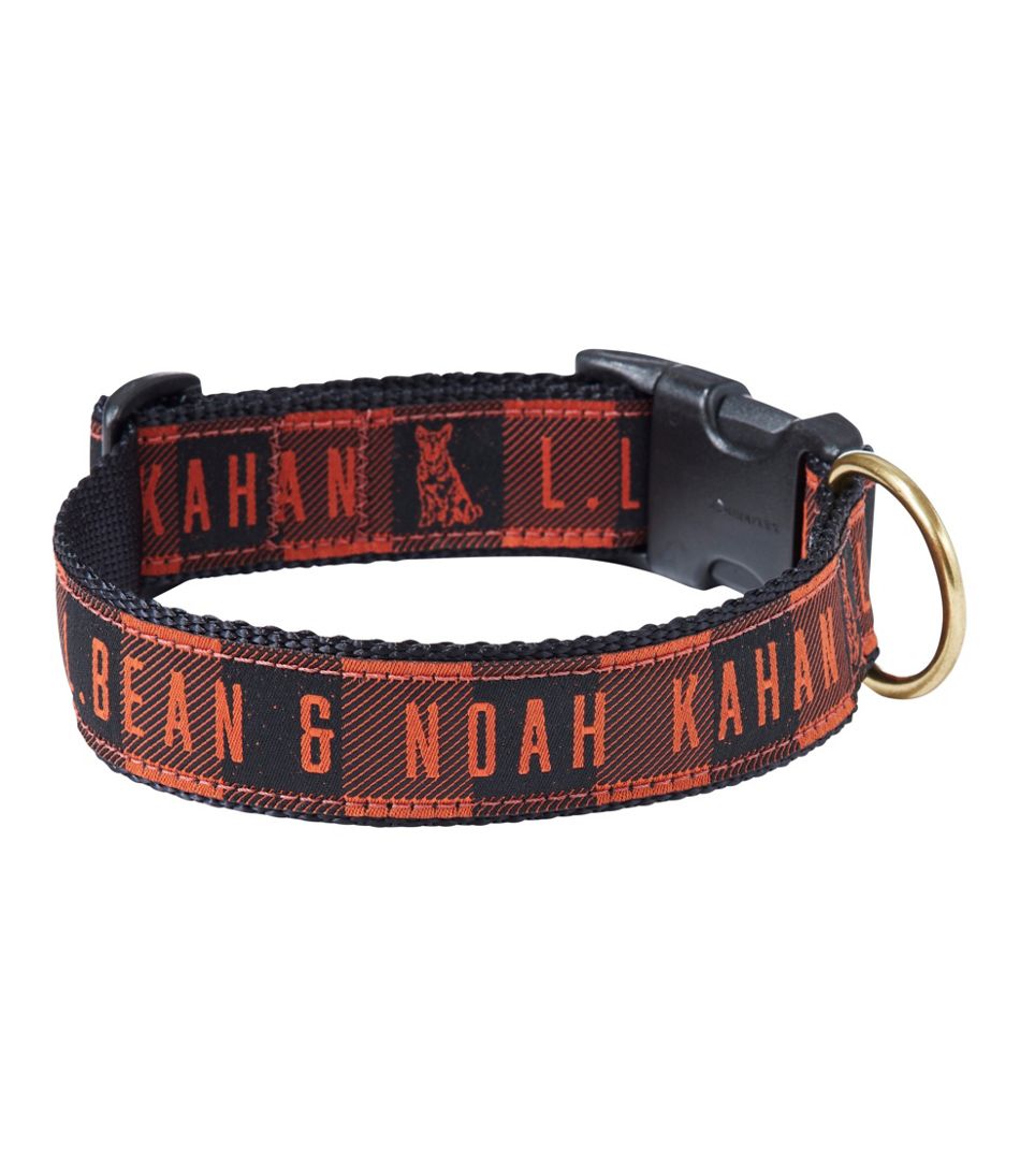 & Noah Kahan Novelty Dog Collar | L.L.Bean sale