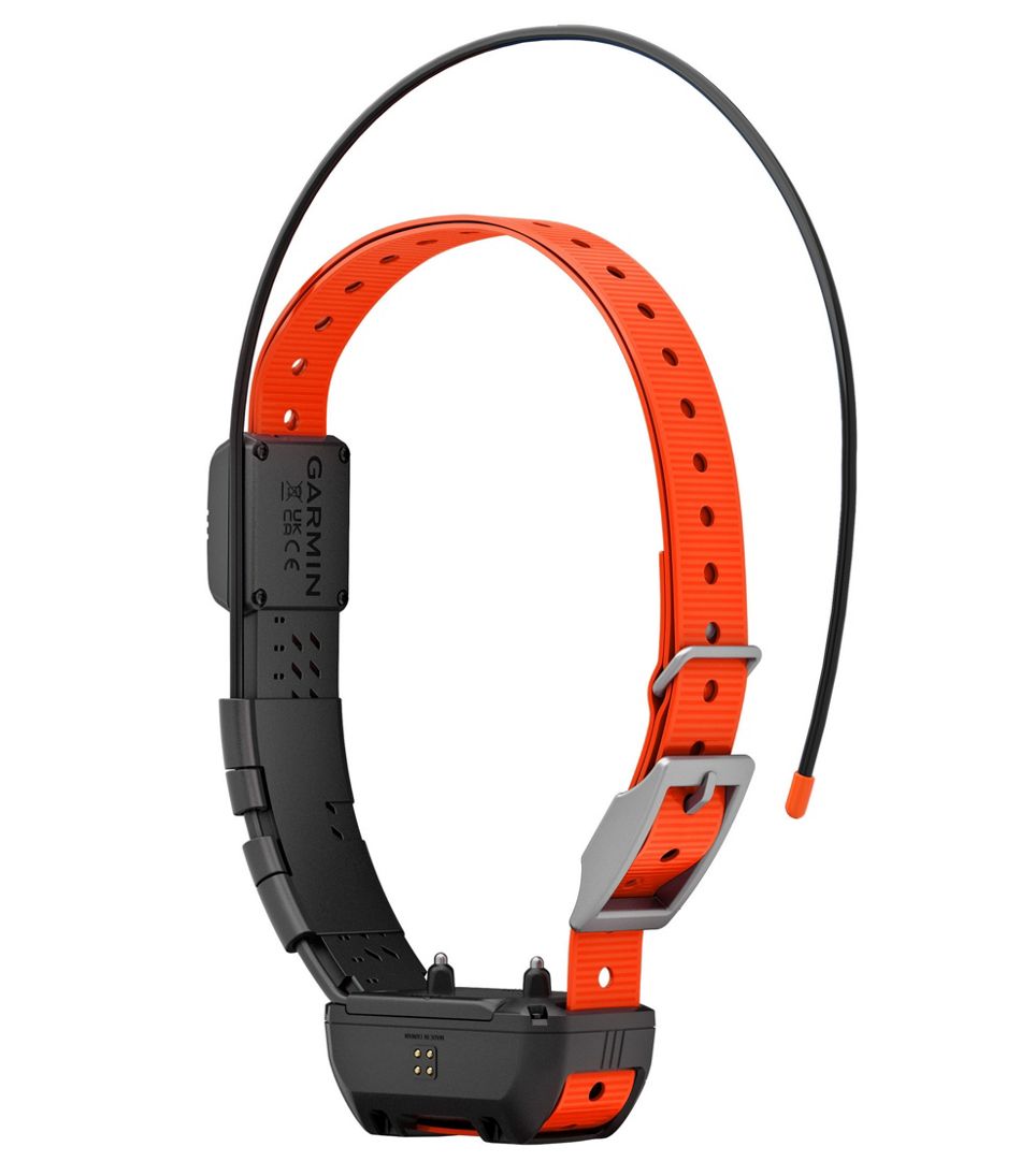 Garmin Alpha TT25 Dog Collar | L.L.Bean US