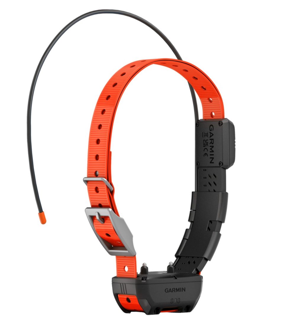 Garmin Alpha TT25 Dog Collar | L.L.Bean US