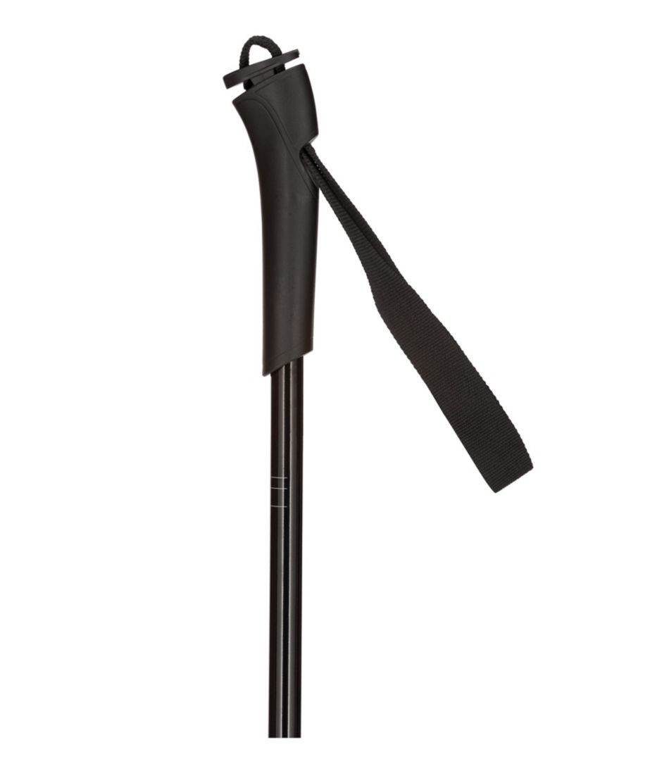 Rossignol FT500 Cross-Country Touring Ski Poles | L.L.Bean US