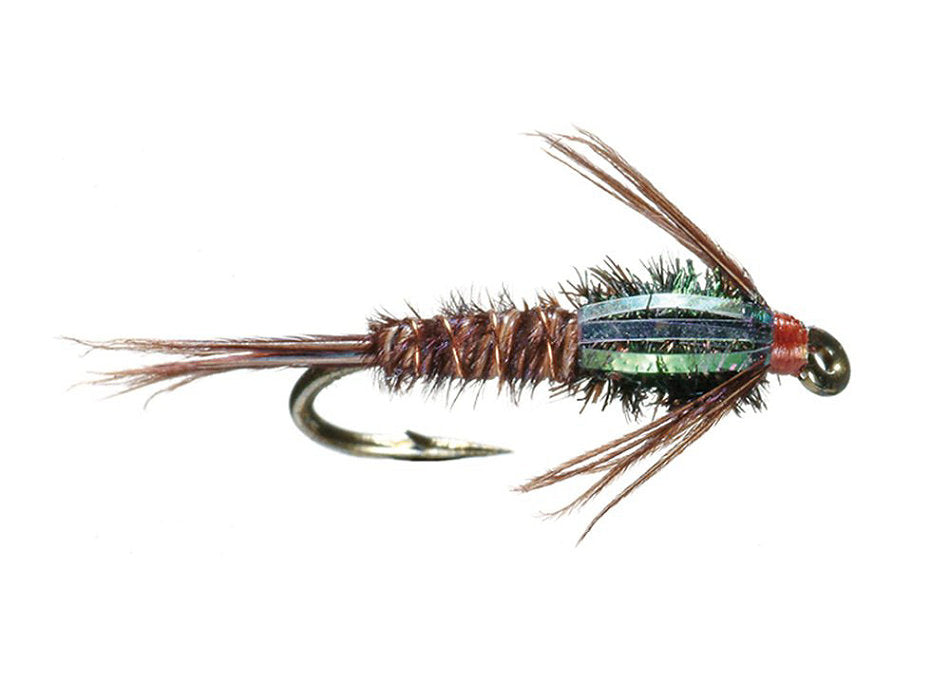 Flashback Pheasant Tail, 2-Pack | L.L.Bean US