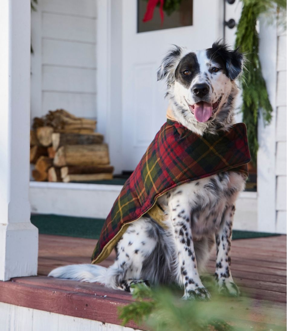 Reversible Field Coat for Dogs | L.L.Bean discount