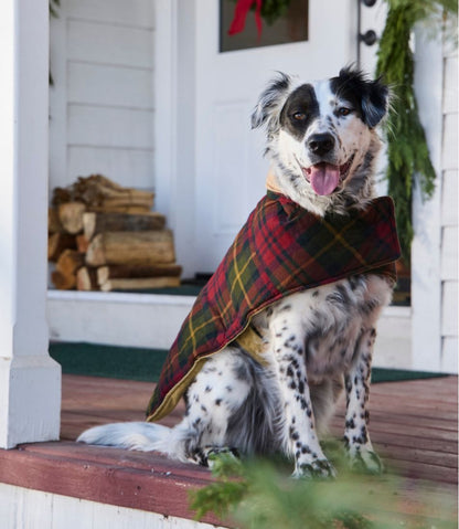 Reversible Field Coat for Dogs | L.L.Bean discount