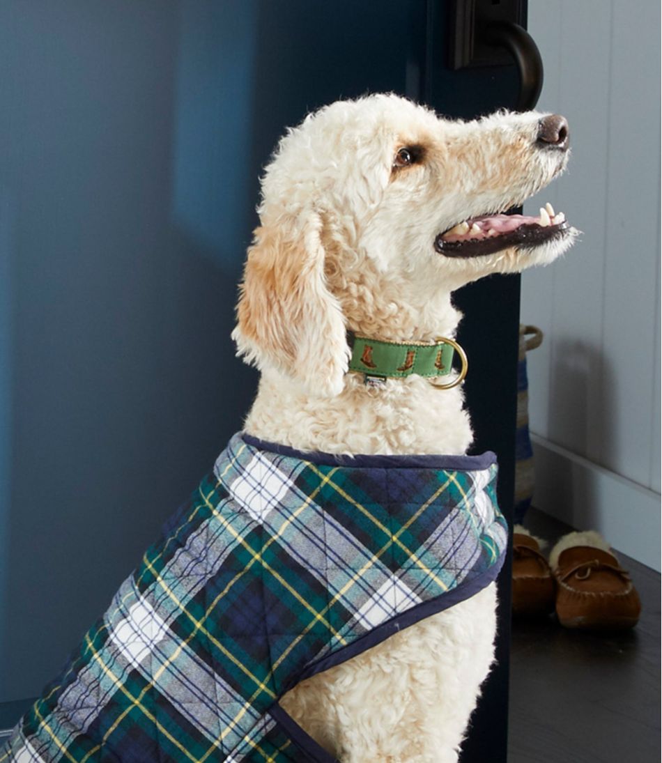 Novelty Dog Collar | L.L.Bean US
