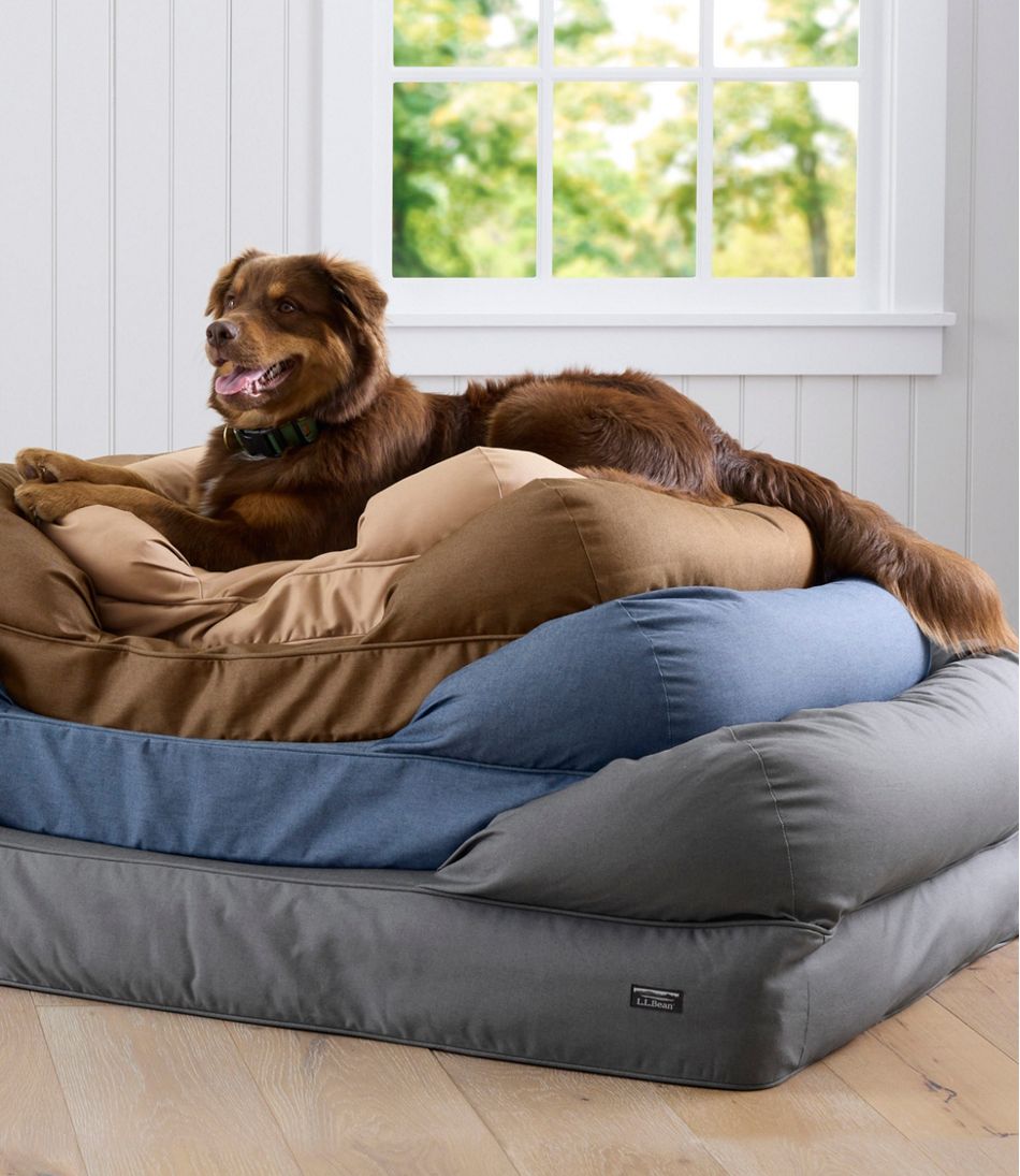 Premium Denim Dog Couch | L.L.Bean US